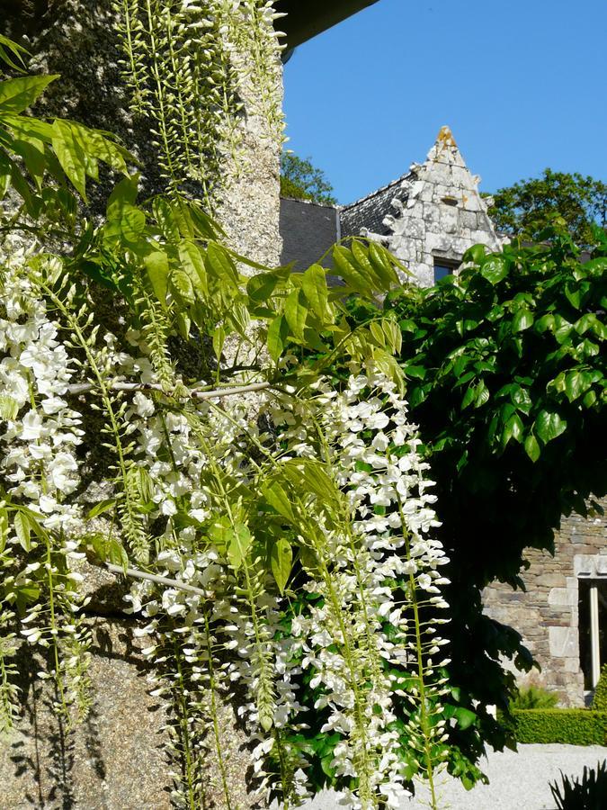 Manoir De Kerledan Hotel Carhaix-Plouguer Exterior foto